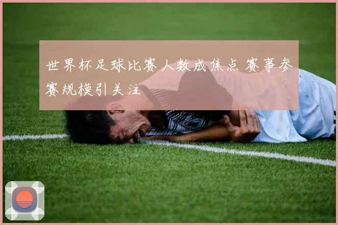 世界杯足球比赛人数成焦点 赛事参赛规模引关注