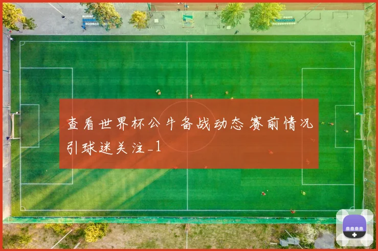 查看世界杯公牛备战动态 赛前情况引球迷关注_1
