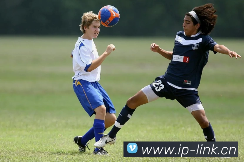 多媒体互动体验